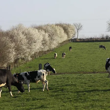 Bed & Breakfast Chateau De