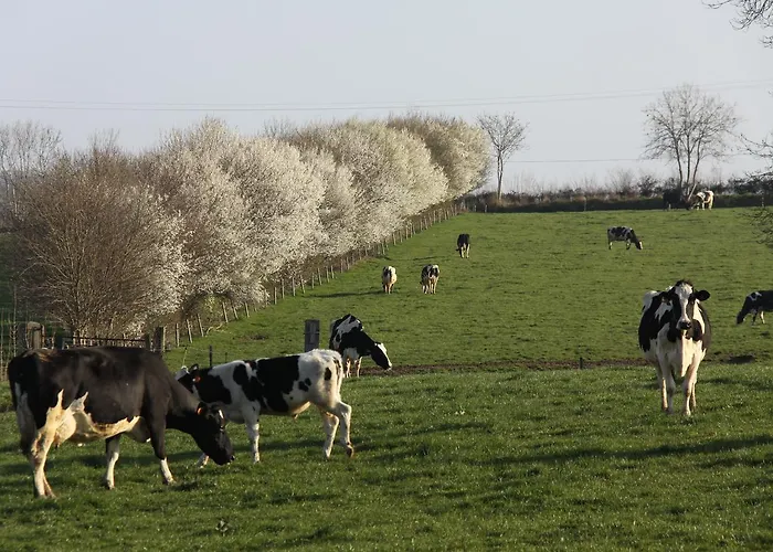 Bed & Breakfast Chateau De